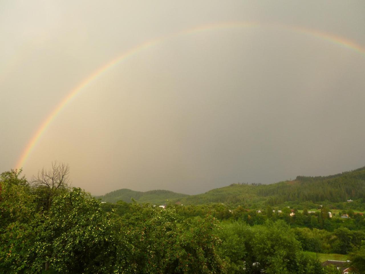 Dilyatyn Лелека旅馆 外观 照片
