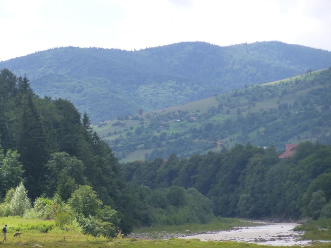 Dilyatyn Лелека旅馆 外观 照片